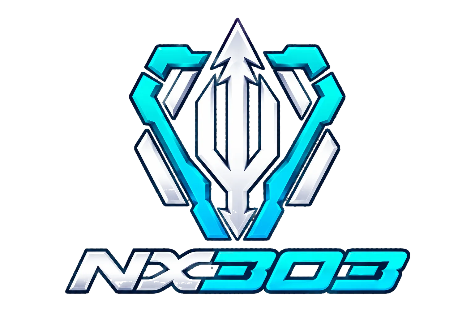 nx303